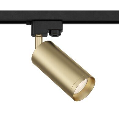 Однофазный светильник для трека Maytoni Track lamps TR004-1-GU10-MG