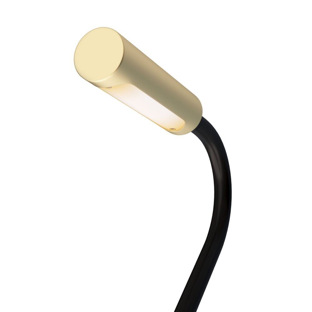 Спот светодиодный Maytoni Stem C035WL-L3MG3K
