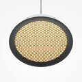 Подвесной светильник Maytoni El MOD041PL-L15WG3
