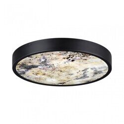 Настенно-потолочный светильник Odeon Light Bergi L-Vision 5064/24L