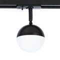 Однофазный светильник для трека Virgo Arte Lamp A4565PL-1BK