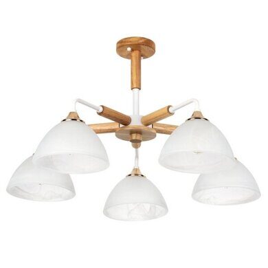 Потолочная люстра на штанге Matthew Arte Lamp A5032PL-5BR