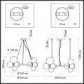 Люстра подвесная Odeon Light Tovi 4818/11