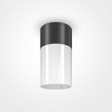 Накладной светильник Willis Maytoni O418CL-01B