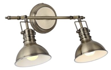 A1102AP-2AB Спот Arte Lamp