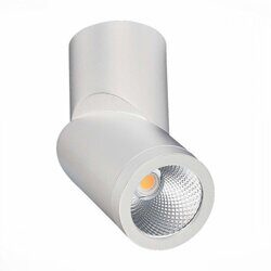 Накладной светодиодный светильник ST Luce ST650.542.10